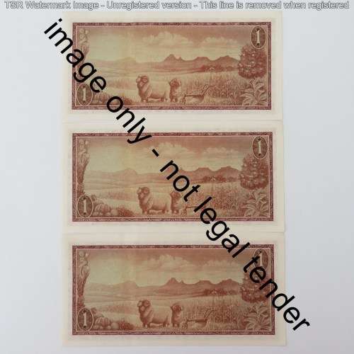 TW de Jongh 1st issue lot of 8 uncirculated R1 notes - Paperclip crease