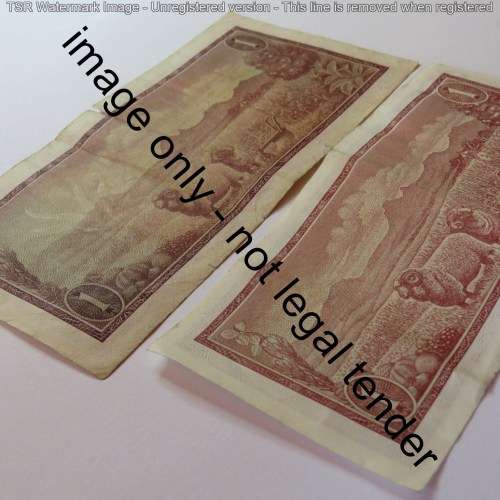 De Jongh Large and small R1 note replacement notes small tear in large - Note 212 and 233