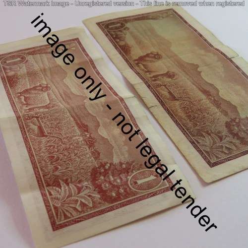 De Jongh Large and small R1 note replacement notes small tear in large - Note 212 and 233