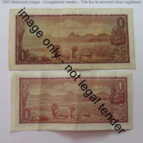 De Jongh Large and small R1 note replacement notes small tear in large - Note 212 and 233