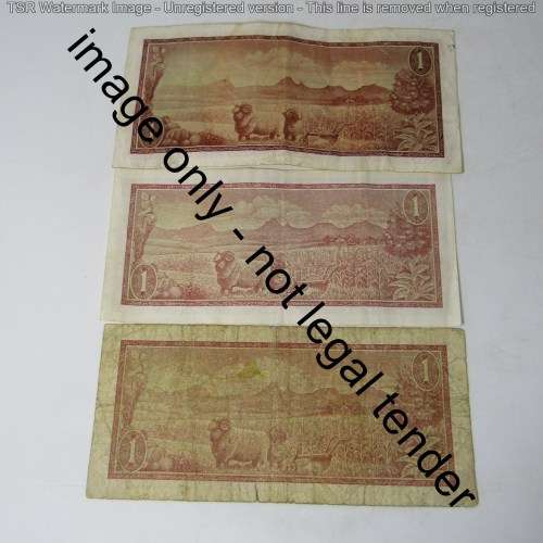 TW de Jongh small and large R1 banknotes plus extra 236 replacement note