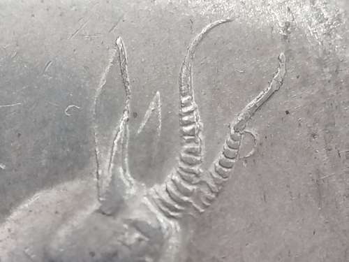 1967 South Africa R1 Variation - Half moon on horn - I have only seen a couple