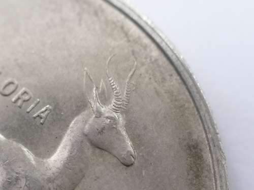 1967 South Africa R1 Variation - Half moon on horn - I have only seen a couple