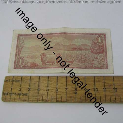 South Africa 1975 TW de Jongh R1 note - replacement Z33
