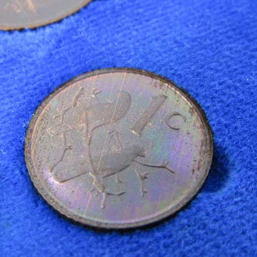 1975 South Africa proof coins in blue box - 1 cent to 50 cent