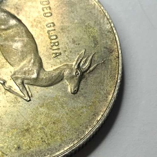 1973 Silver Rand with gap between left horn and head and looks like a pregnant springbok
