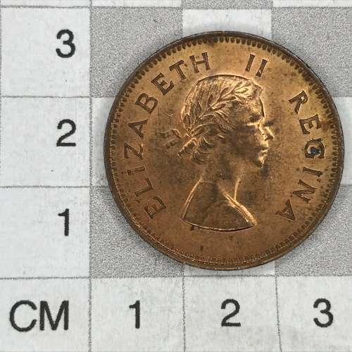 1955 SA Union Half Penny - UNC