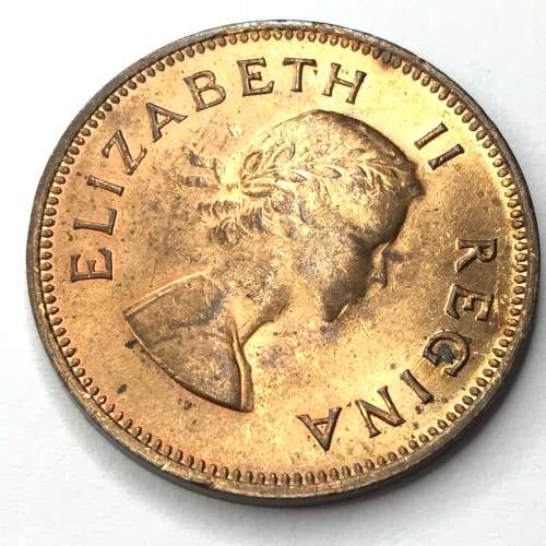1955 SA Union Half Penny - UNC