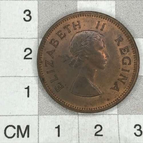 1954 SA Union Half Penny with spot reverse 12 o`clock and fingerprint mark - UNC