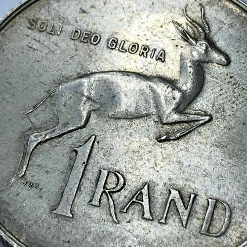 1967 RSA Silver R1 pregnant Springbok - One of the best i have seen