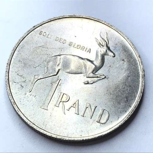 1967 RSA Pregnant Springbok - an excellent example of this R1
