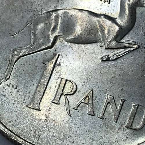 1967 RSA Pregnant Springbok - an excellent example of this R1