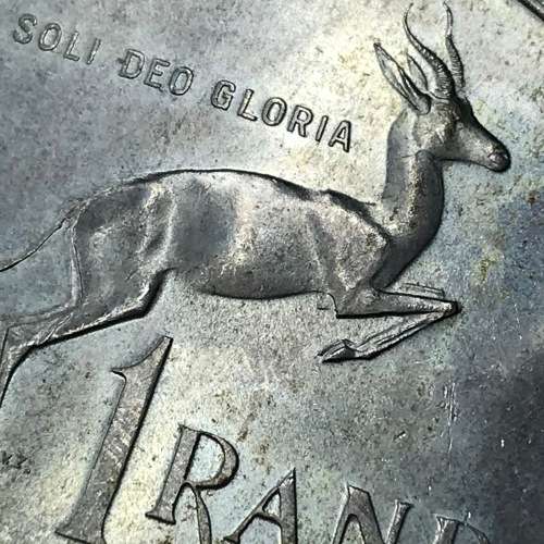 1967 RSA R1 Pregnant springbok - one of the best i have seen