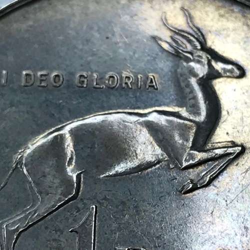 1967 RSA silver Springbok R1 with no penis - best example I ever saw