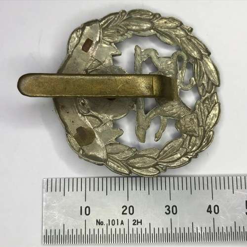 Great Britain Infantry of The Line Hampshire Regiment - Cap badge - Bi-metal - Slide