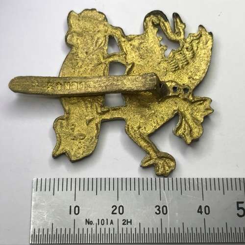 Great Britain Infantry on the Line - The Buffs - Royal East Kent Regiment - Cap badge - Slide