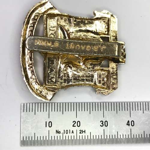 Great Britain Infantry Regiment cap badge - Devon and Dorset - Bi-metal - Stay Brite