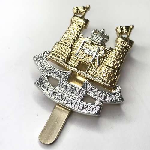 Great Britain Suffolk and Norfolk Yeomanry badge - Bi-metal - Slide