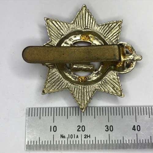 Great Britain The Devonshire regiment Kings crown badge - Bi-metal - Slide