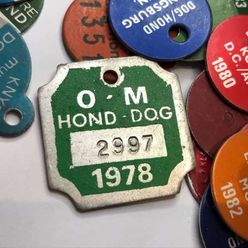 Lot of 48 different Dog Licenses late 70`s to early 80`s - Mostly Small Towns