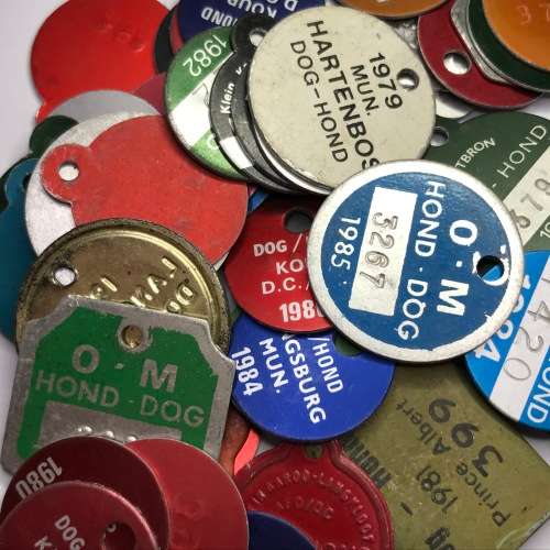 Lot of 48 different Dog Licenses late 70`s to early 80`s - Mostly Small Towns