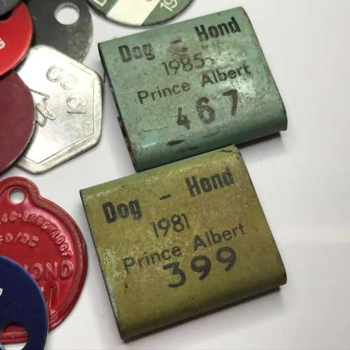 Lot of 48 different Dog Licenses late 70`s to early 80`s - Mostly Small Towns