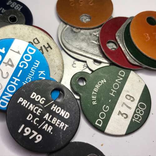 Lot of 48 different Dog Licenses late 70`s to early 80`s - Mostly Small Towns