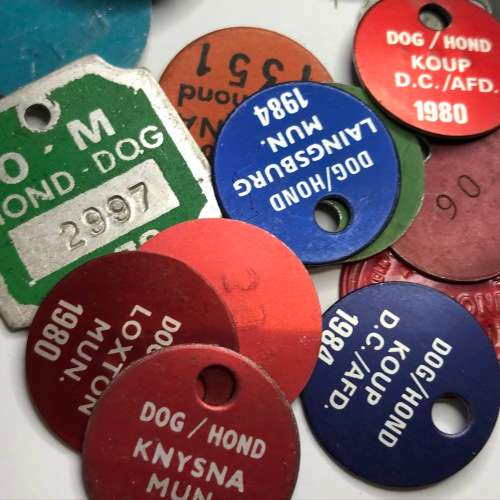 Lot of 48 different Dog Licenses late 70`s to early 80`s - Mostly Small Towns