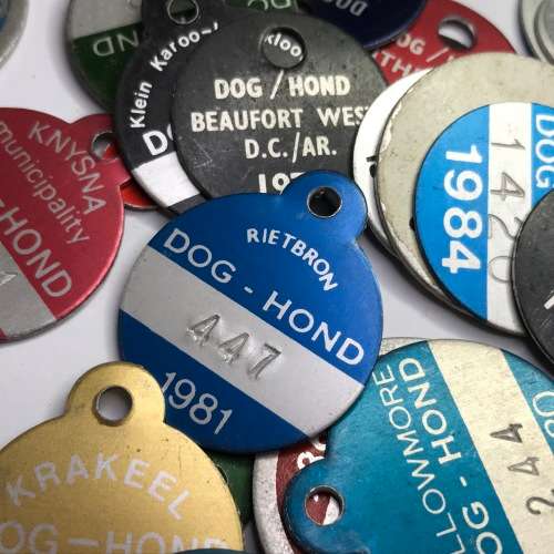 Lot of 48 different Dog Licenses late 70`s to early 80`s - Mostly Small Towns