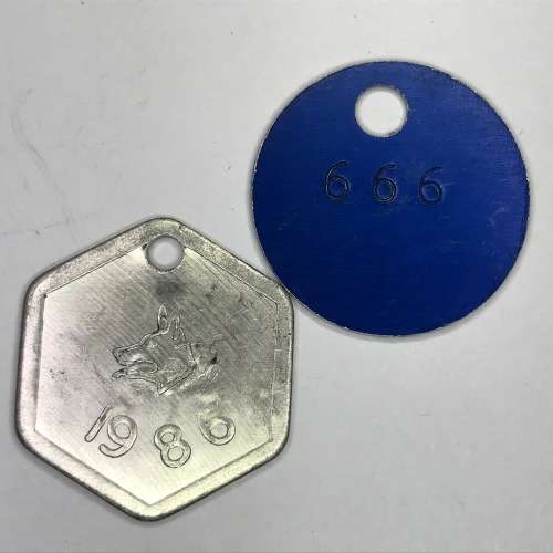 2 Dog licenses with no 666 - Pacaltsdorp 1986 and Laingsburg 1984