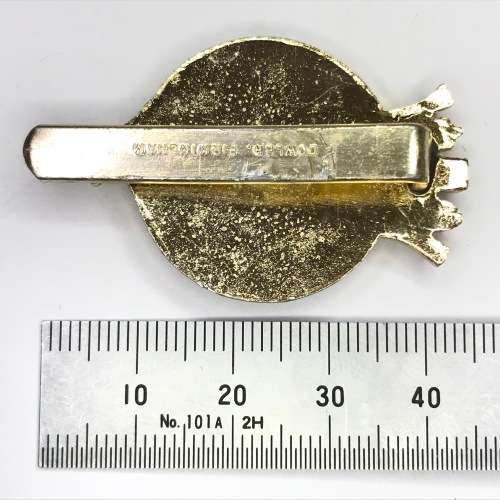 Great Britain Duke of Lancasters own Yeomanry cap badge - Slide