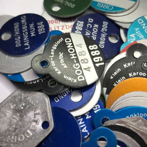 Lot of 50 dog licenses with RADAR numbers that read the same both ways