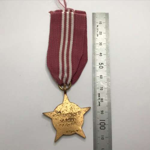 Indian Pashchimi Star medal