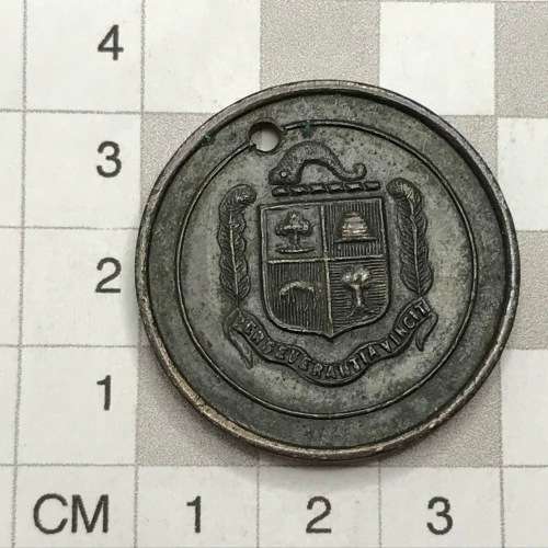 PEACE 1919 inscribed medal - rare version
