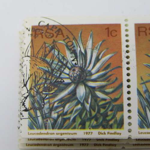 South Africa protea series coil stamps - 1c, 2c,5c,10c 4 strips of 30 stamps cancelled
