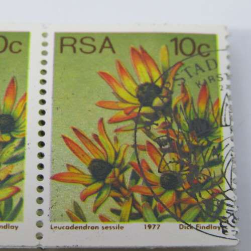 South Africa protea series coil stamps - 1c, 2c,5c,10c 4 strips of 30 stamps cancelled