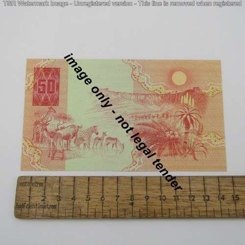 Pair of Gerhard de Kock R50 notes - 3rd issue - consecutive - UNC - AL8030080-AL8030081