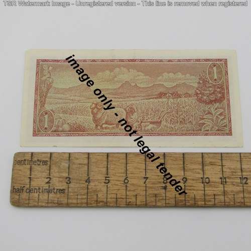 Lot of 14 old South Africa TW de Jongh R1 notes
