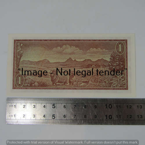 TW de Jongh 1st Issue R1 bank notes - springbok watermark - uncirculated