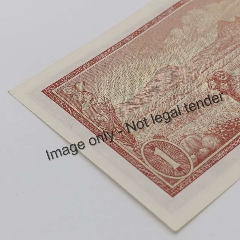 TW de Jongh 3rd Issue - Lot of 2 notes with 222 in number