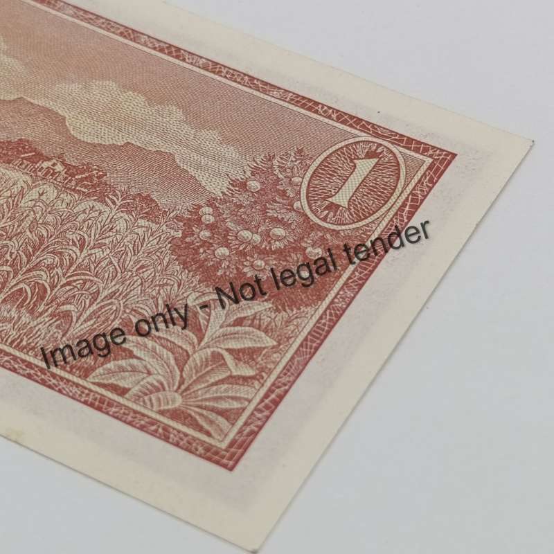TW de Jongh 3rd Issue - Lot of 2 notes with 222 in number