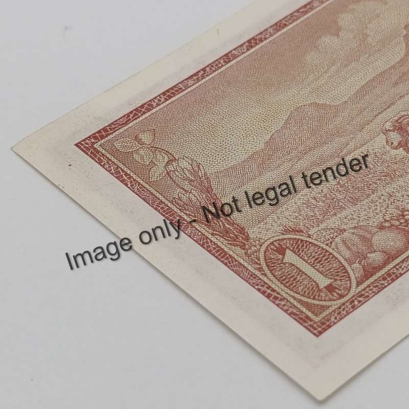 TW de Jongh 3rd Issue - Lot of 2 notes with 222 in number