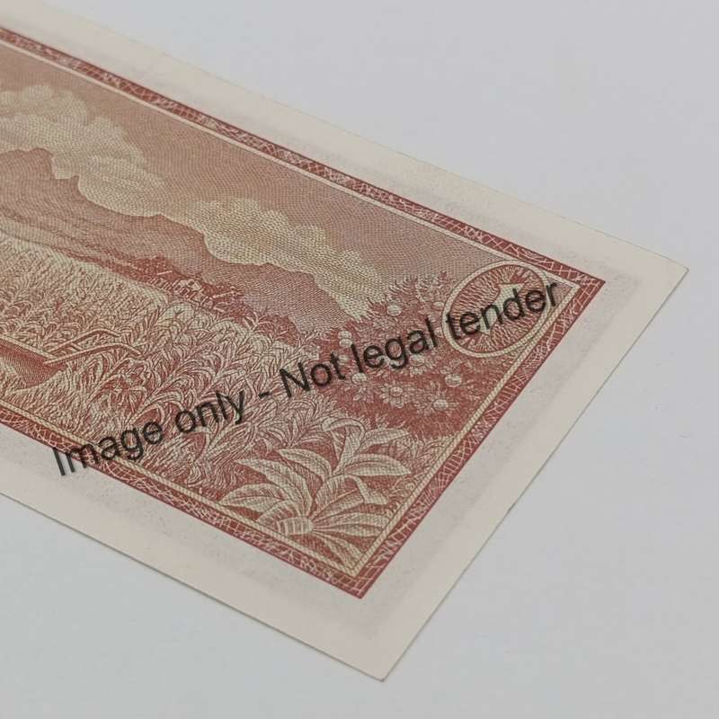 TW de Jongh 3rd Issue - Lot of 2 notes with 222 in number