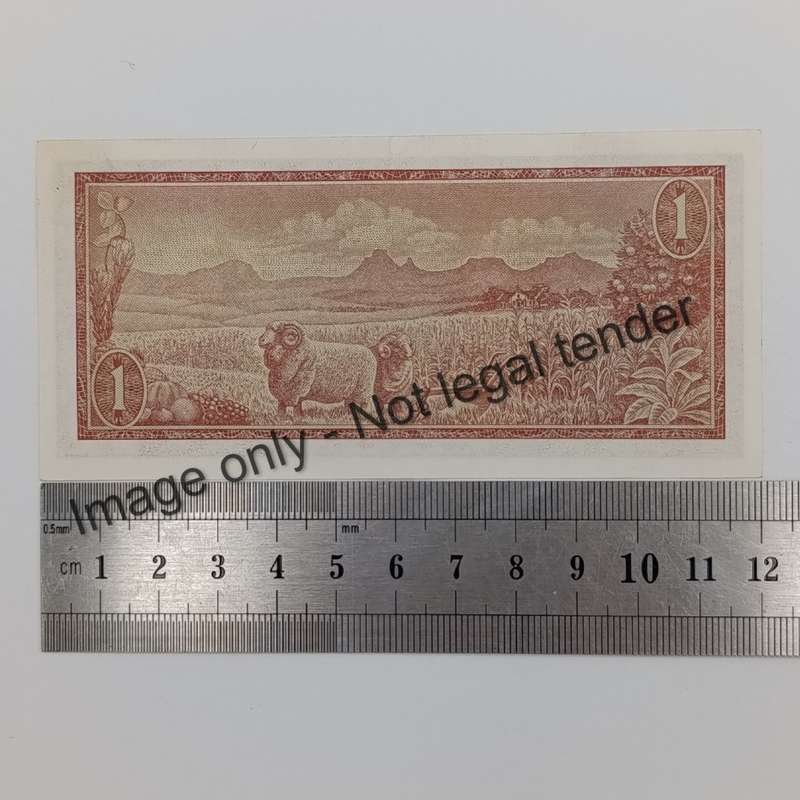 TW de Jongh 3rd Issue - Lot of 2 notes with 222 in number