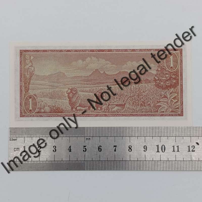 TW de Jongh 1st, 2nd & 3rd Issue banknotes - R1