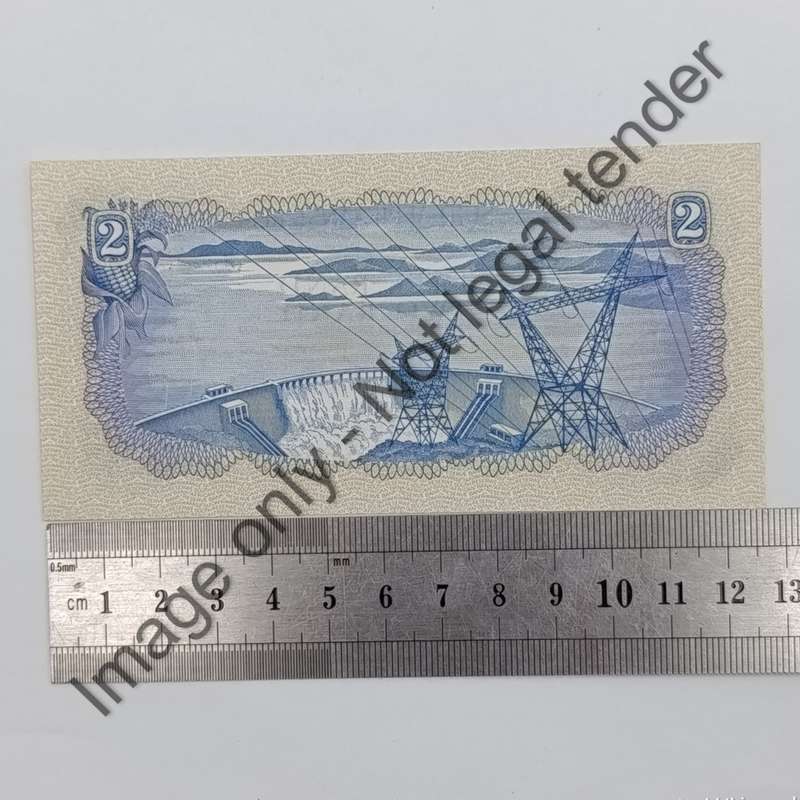 TW de Jongh 2nd issue 1974 R2 banknote pair uncirculated with consecutive numbers D100