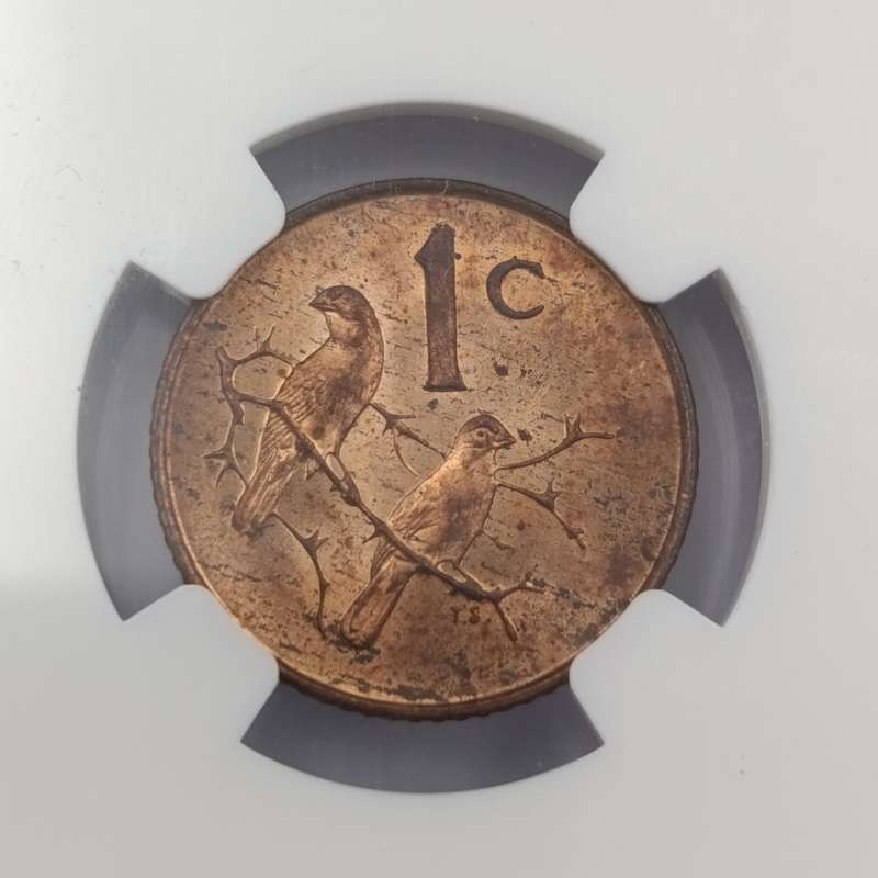 1965 RSA English 1 cent graded M563 RB by NGC - only 1180 minted