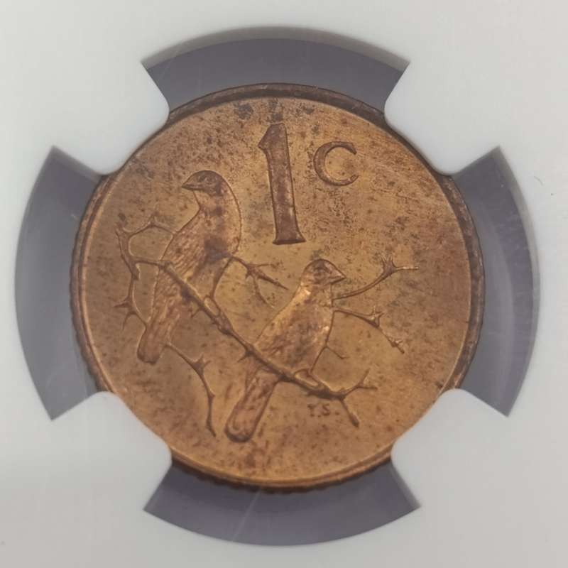 1965 RSA English 1 cent graded MS63 RB by NGC - only 1180 minted