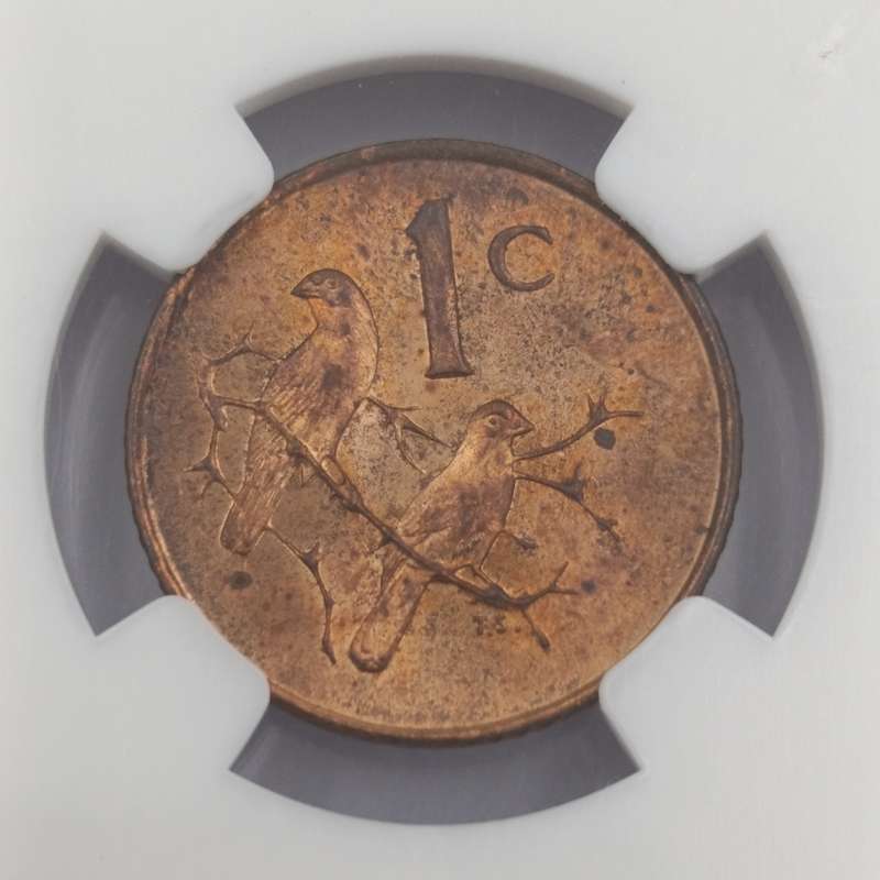 1965 RSA English 1 cent graded ms63 RB by NGC - only 1180 minted
