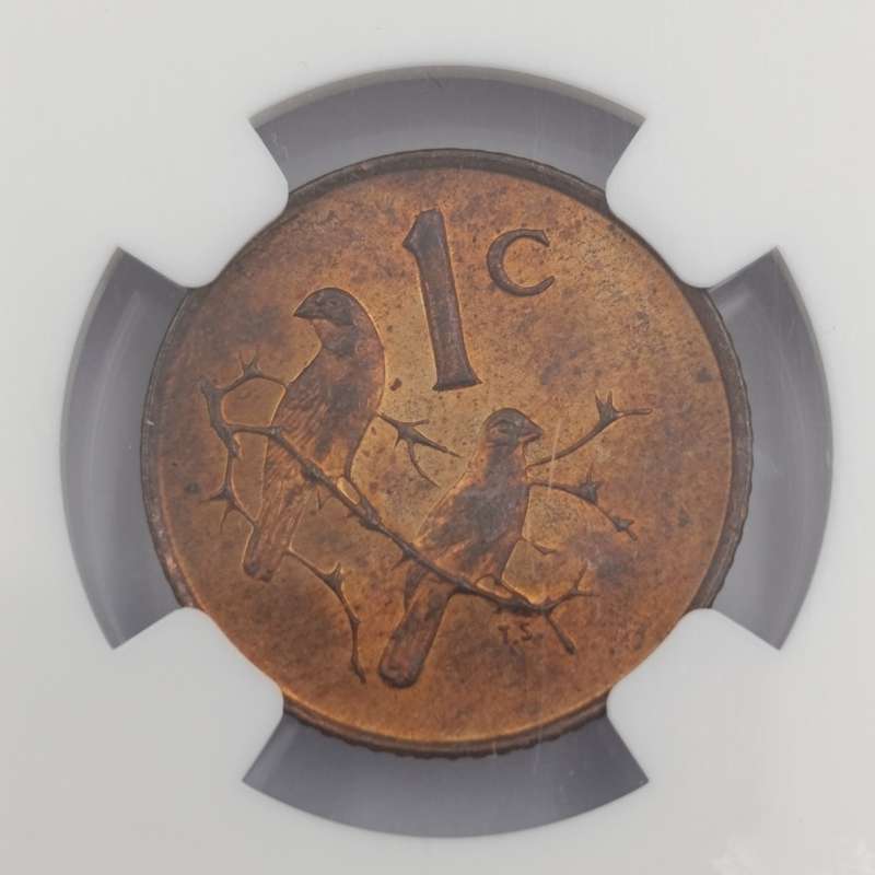 1965 RSA English 1 cent graded MS64 RB by NGC - only 1180 minted